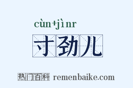 寸劲儿是什么意思的图片